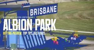 Albion Park Greyhound Tips - march 27