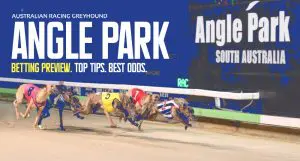 Angle Park greyhounds tips