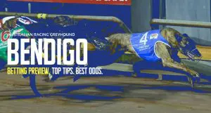 Bendigo Greyhound Tips - March 22