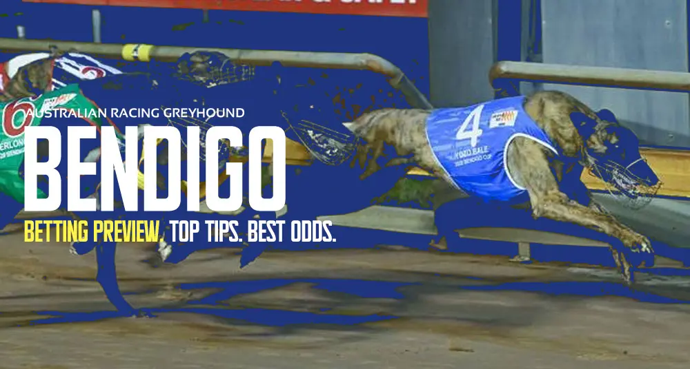 Bendigo Greyhound Tips - May 242