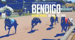 Bendigo greyhound tips Sunday April 28 2024