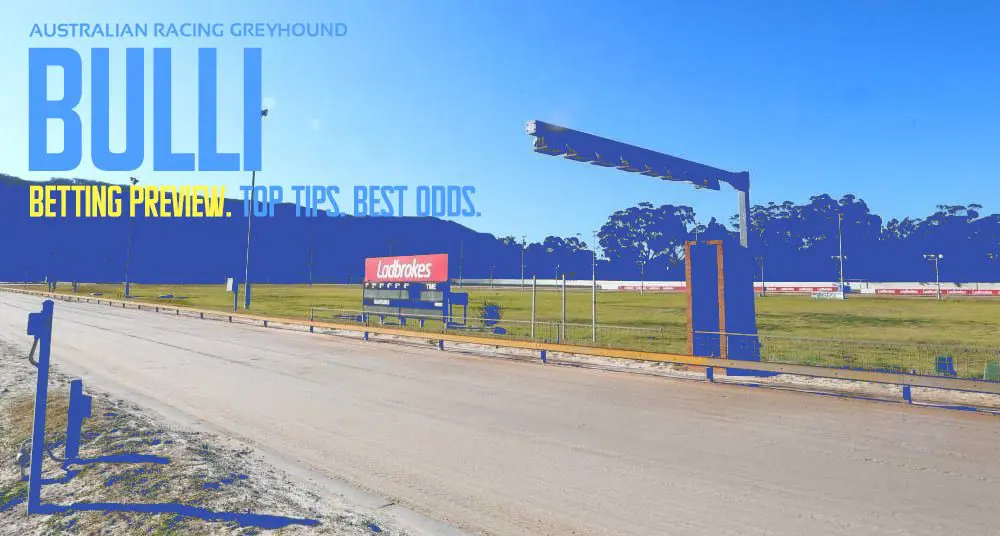 Bulli greyhound tips
