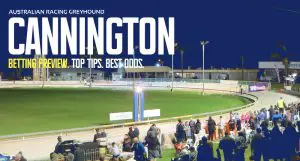 Cannington greyhound tips and best bets Saturday April 27 2024