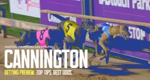 Cannington greyhound tips - April 1