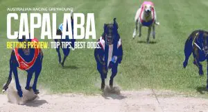 Capalaba greyhound tips and best bets Sunday, April 14, 2024