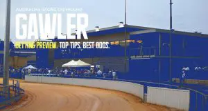 Gawler greyhound racing tips