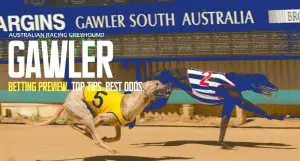 Gawler greyhound racing tips and best bets 21/4/2024