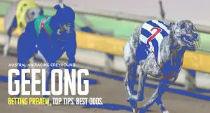 Geelong Greyhound Tips - March 29