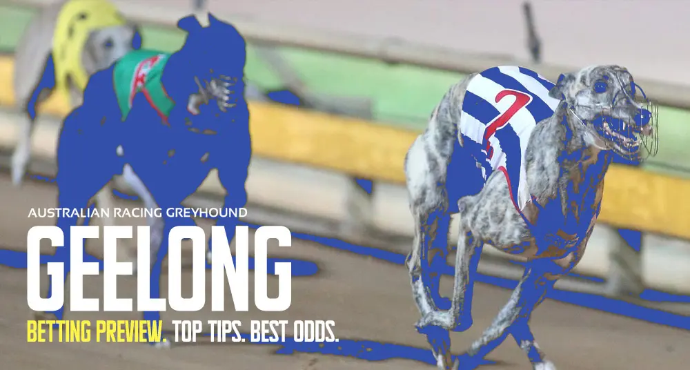 Geelong Greyhound Tips - March 29
