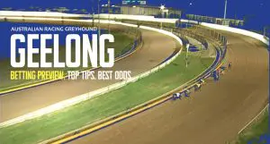 Geelong greyhound racing tips for Tuesday, April 16, 2024