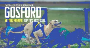 Gosford Greyhound Tips