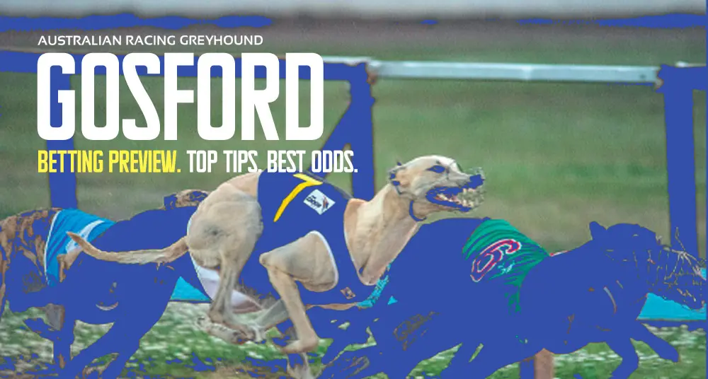 Gosford Greyhound Tips for March 19