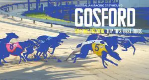 Gosford greyhound tips and best bets Tuesday, April 16, 2024