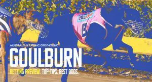 Goulburn greyhound tips and best bets Friday May 3 2024