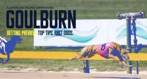 Goulburn greyhound tips and best bets Monday April 29, 2024