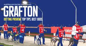 Grafton greyhound tips