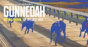 Gunnedah Greyhound Tips