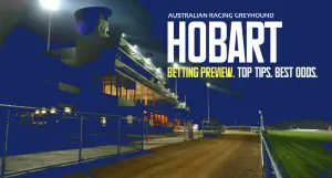 Hobart betting tips and greyhound preview - April 11