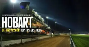 Hobart greyhound tips