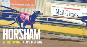 Horsham greyhound racing tips and best bets April 19, 2024