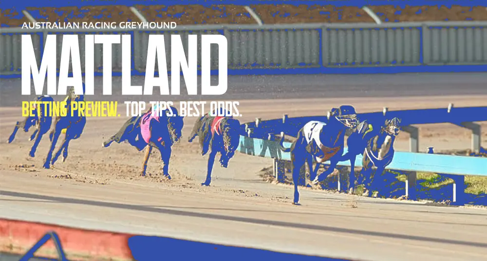 Maitland Greyhound Tips - April 15