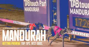 Mandurah Greyhound Tips - April 11