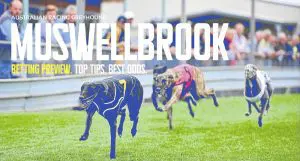 Muswellbrook Greyhound Tips
