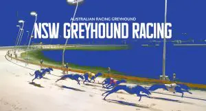 NSW greyhounds lose two more meetings to weather