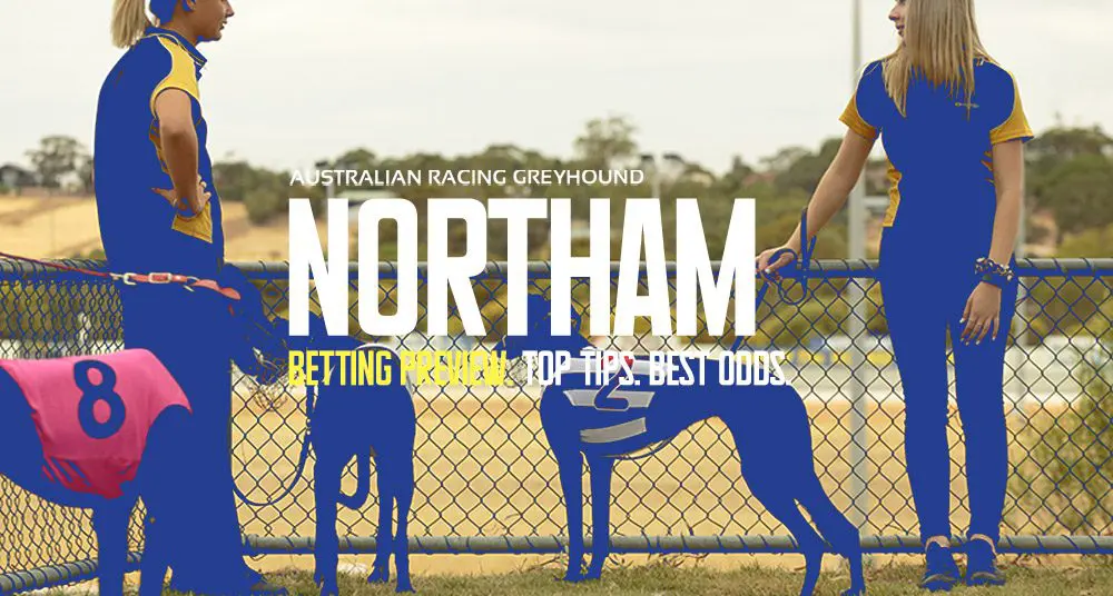 Northam Greyhound Tips - 13/5/2024