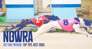 Nowra Greyhound Racing Tips - April 8