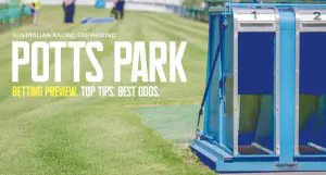 Potts Park greyhound tips