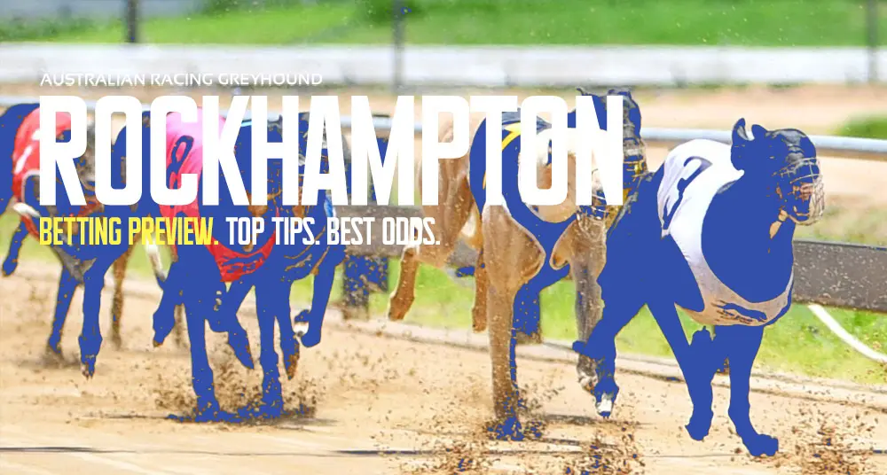 Rockhampton greyhounds preview