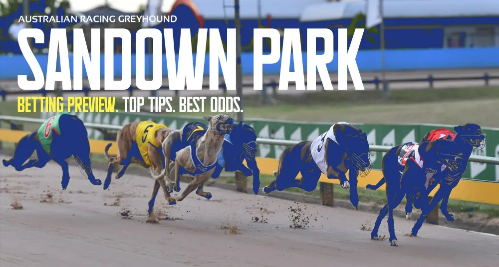 Sandown Park greyhounds tips for March 21