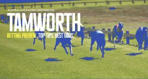 Tamworth Non-TAB greyhound tips Saturday, April 20, 2024