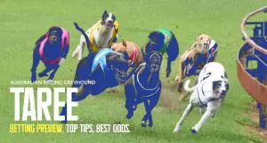 Taree Greyhound Tips
