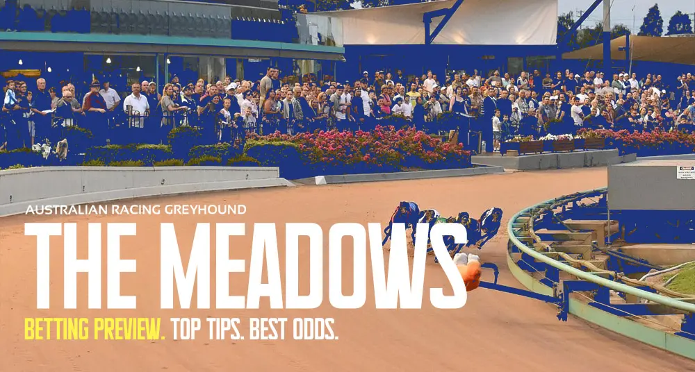 The Meadows Greyhound Tips - march 27