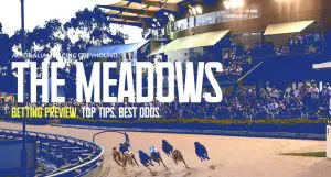 The Meadows greyhound tips & best bets Saturday, April 20, 2024