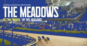 The Meadows betting tips