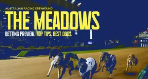 Meadows greyhound racing tips | Today April 24, 2024