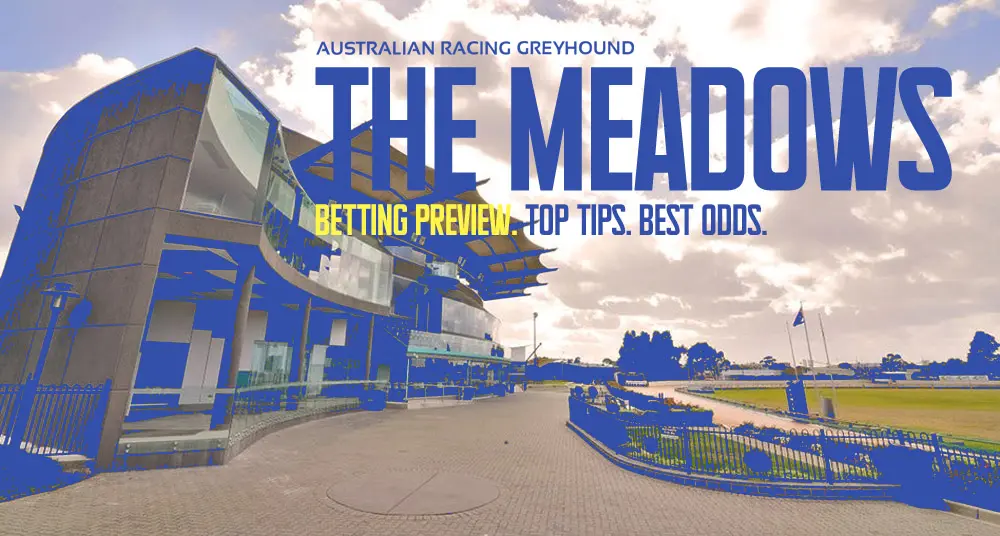 The Meadows Betting Tips and Greyhound Preview - March 23