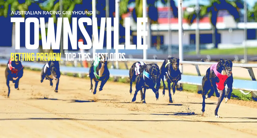 Townsville dogs preview