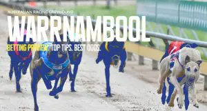 Warrnambool Greyhound Tips