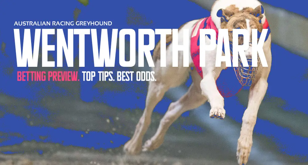 Wentworth Park tips - March 16 2024