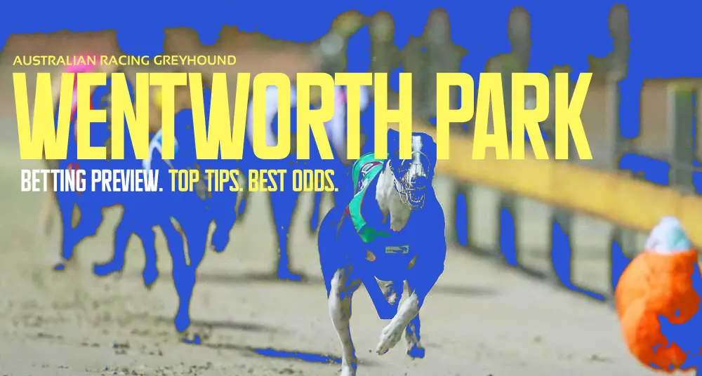 Wentworth Park betting tips for November 11