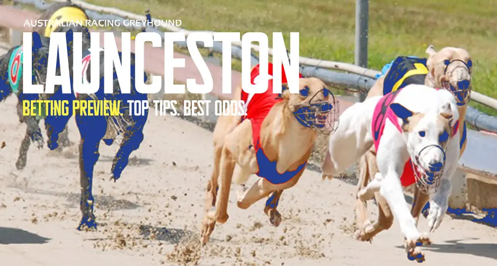 Launceston Greyhound Tips - Monday, 1/4/24