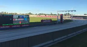 Grafton greyhound racing news