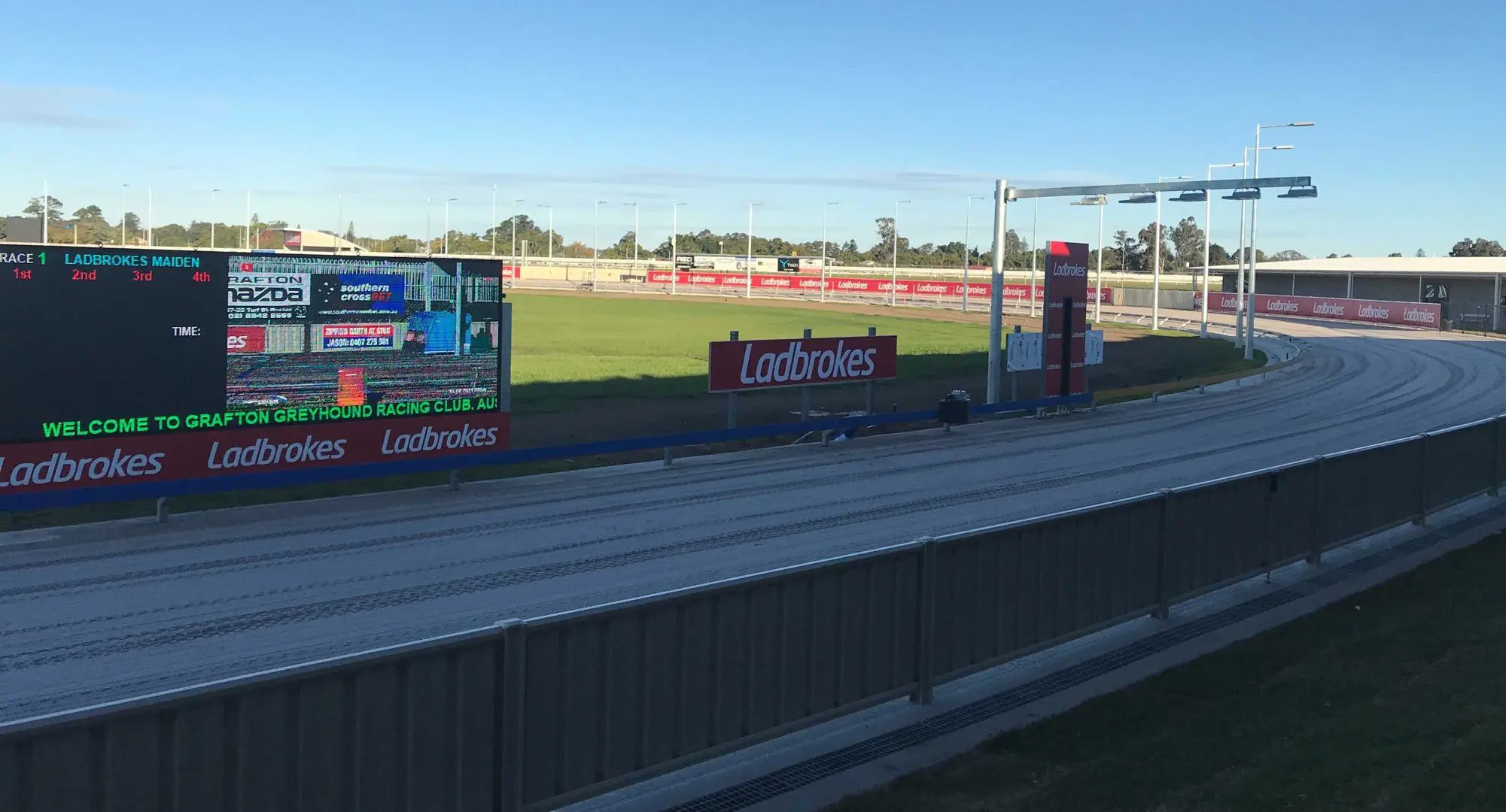 Grafton greyhound racing news