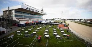 Addington greyhounds