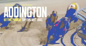 Addington NZ greyhound tips