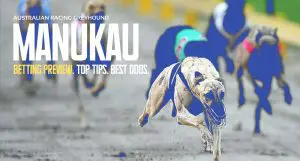 Manukau greyhound tips